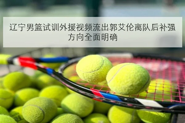 辽宁男篮试训外援视频流出郭艾伦离队后补强方向全面明确